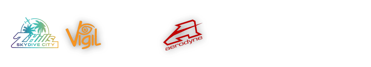 Aerodyne Vigil LB Altimeters